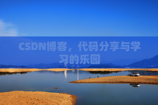 CSDN博客，代码分享与学习的乐园